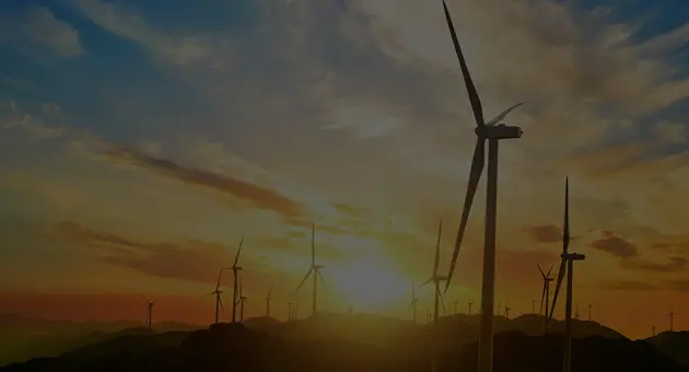 Energy & Natural Resources